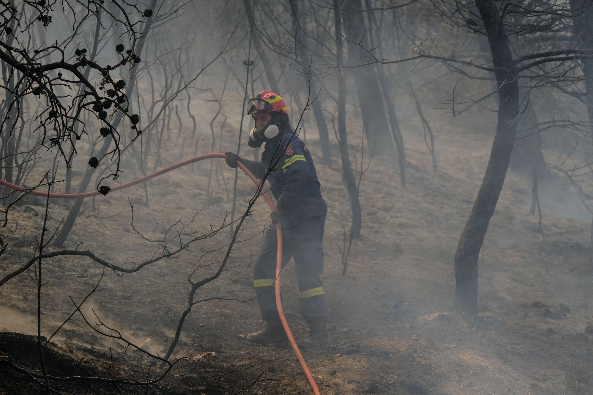 Φωτιά: Περισσότερα από 400.000 στρέμματα κάηκαν μέσα σε 3 ημέρες στην Ελλάδα