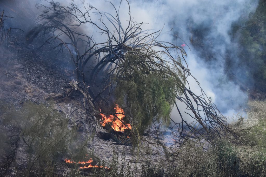 Επιχείρησε να βάλει φωτιά κοντά σε σπίτια στη Λάρισα – Συνελήφθη επ’ αυτοφώρω