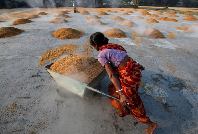 Ρύζι: Μετά την Ινδία έρχονται κι άλλες απαγορεύσεις στις εξαγωγές