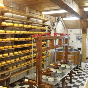 Αφθώδης πυρετός: Ελεύθερη η διακίνηση από επισκέπτες της Λέσβου τυροκομικών προϊόντων