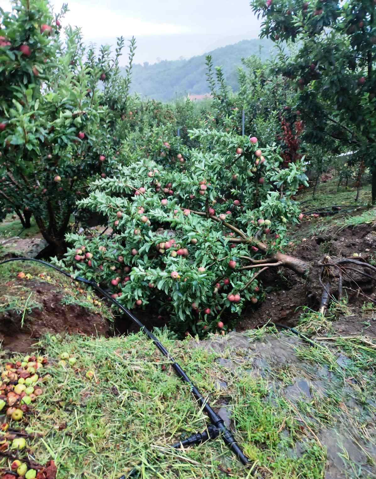 Αγροτικός Συνεταιρισμός Ζαγοράς: Κρίνεται η επιβίωσή μας