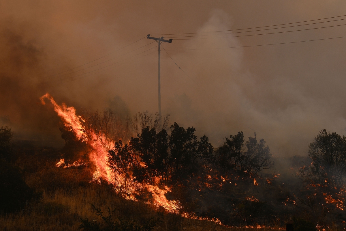 Φωτιά στη Σταμάτα: Μεγάλη κινητοποίηση της Πυροσβεστικής – Ήχησε το 112