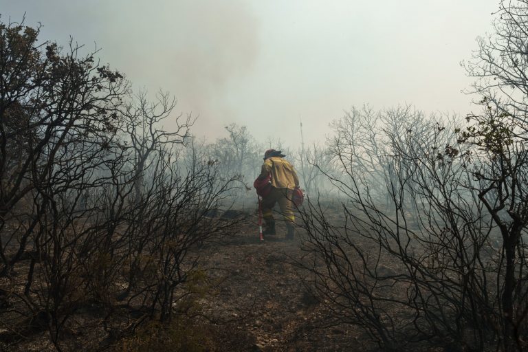 Study: Wildfires in Greece this season cause 1.66 bln€ in damages