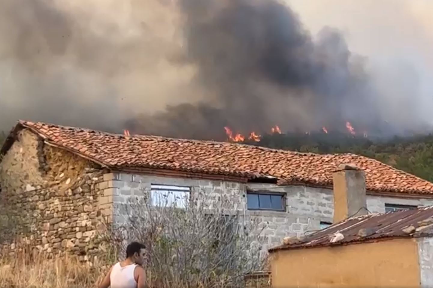 Φωτιά στον Έβρο: Εκκενώνεται η Λευκίμμη – Πλησιάζουν τα πρώτα σπίτια οι φλόγες