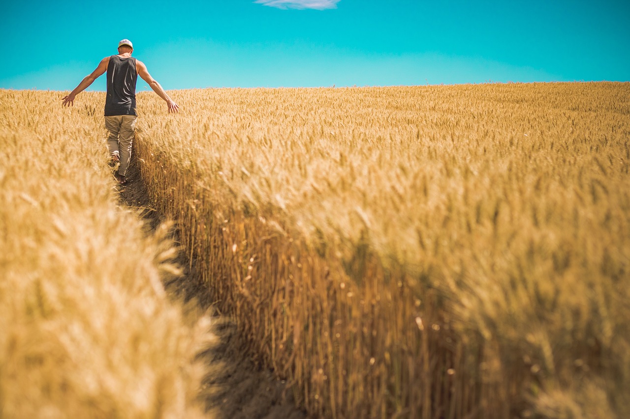 European Organic Awards 2023: Έλληνας ο καλύτερος Ευρωπαίος αγρότης βιολογικών προϊόντων