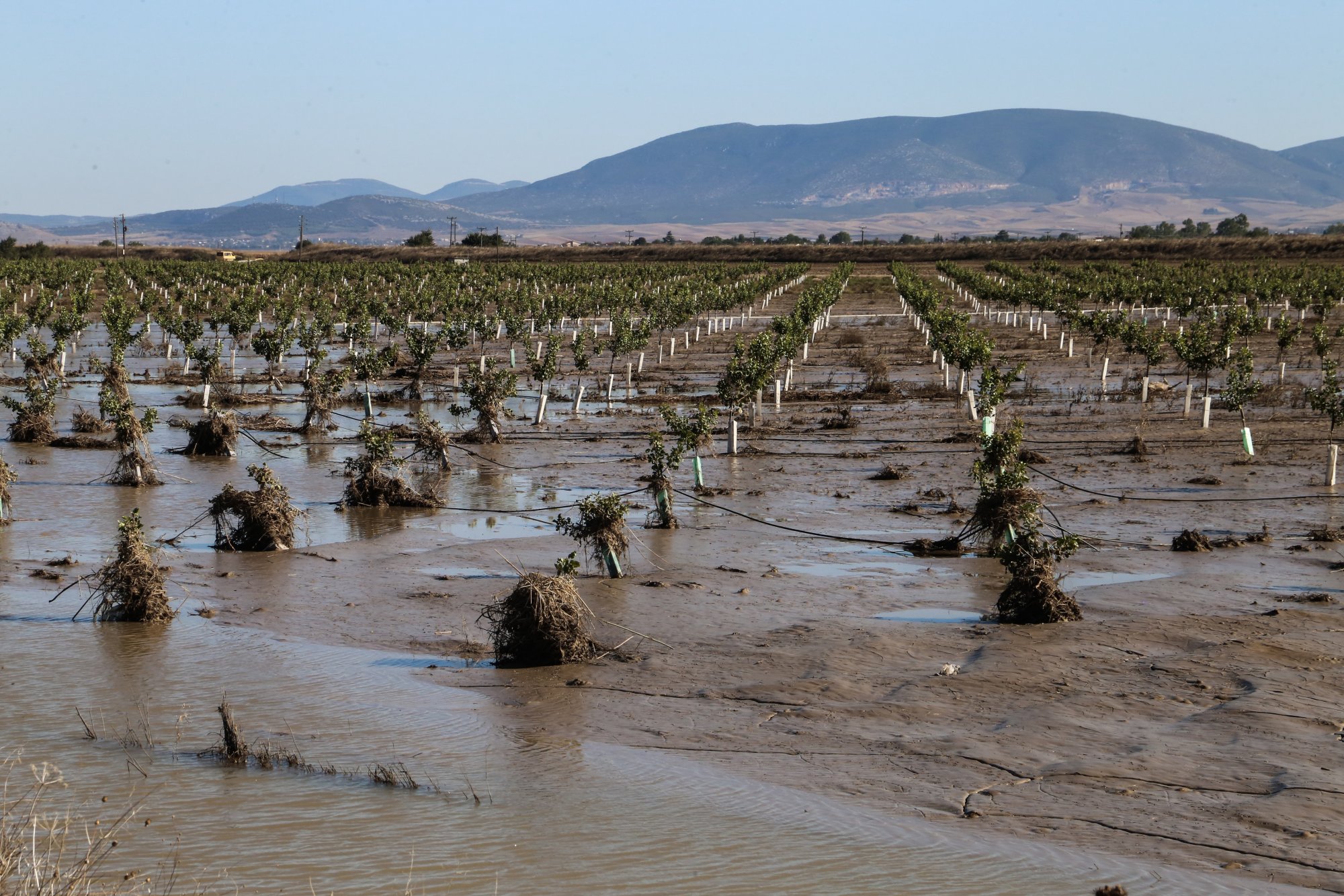Κακοκαιρία Daniel: Στο ΦΕΚ τα ποσά ενίσχυσης πλημμυροπαθών αγροτών