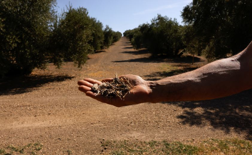 Ξηρασία: Σοβαρό πρόβλημα και στην Ευρώπη