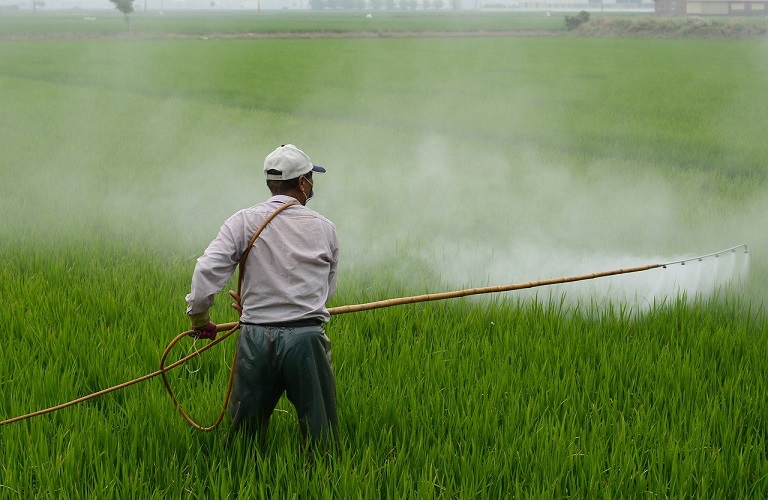 ΕΕ: Δράσεις για τη δραστική μείωση της χρήσης χημικών φυτοφαρμάκων