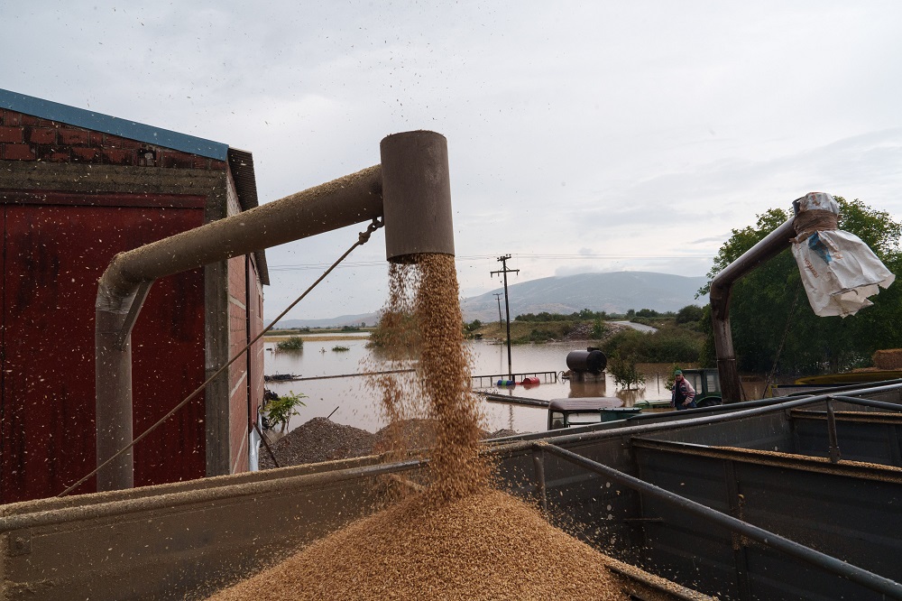 Κίνα: Ψάχνει σε όλο τον κόσμο για να αγοράσει σιτάρι – Οι βροχές «έπνιξαν» τη σοδειά