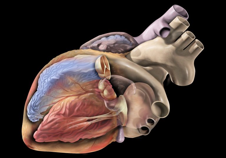 Κατάλυση της Κολπικής Μαρμαρυγής: Ελαχιστοποίηση των επεισοδίων και νέες διαστάσεις στην καρδιαγγειακή θεραπευτική