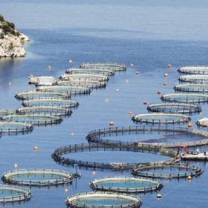 Υδατοκαλλιέργεια: 4 εκατ. ευρώ για τον χωροταξικό σχεδιασμό