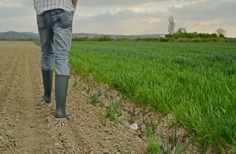 Αυγενάκης: Στόχος 60.000 νέοι αγρότες μέχρι το τέλος της τετραετίας