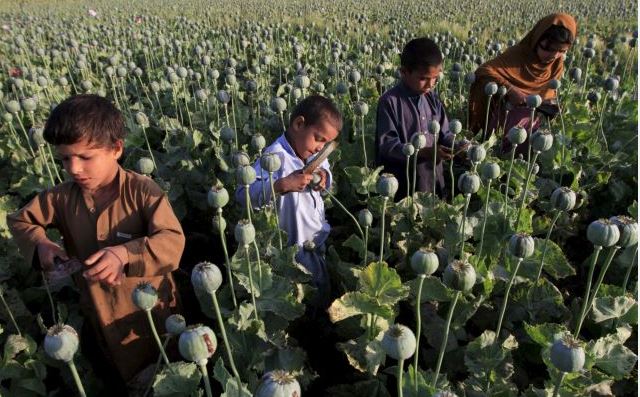 Αφγανιστάν: Σταμάτησε την καλλιέργεια οπίου – Πώς θα αλλάξει η οικονομία του