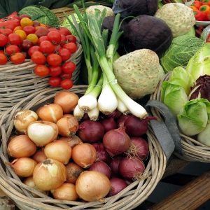 ΕΕ: Ενίσχυση των ελέγχων σε εισαγόμενα φυτικά και ζωϊκά προϊόντα