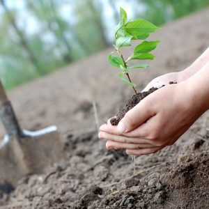 ΕΕ: Σε ισχύ η πρώτη νομοθεσία για την ανθεκτικότητα του εδάφους