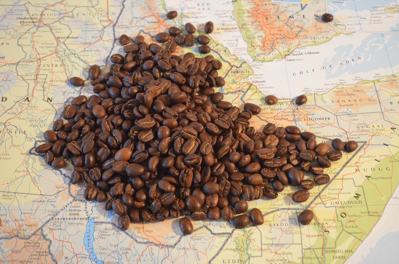 Καφές: Γιατί οι εταιρείες εμπορίας εγκαταλείπουν την Αφρική – Κίνδυνος αύξησης φτώχειας και τιμών
