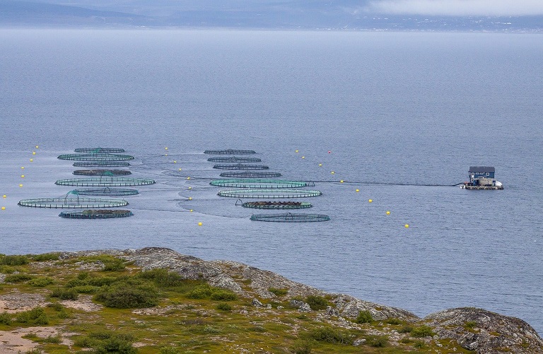 ΕΕ: Συμφωνία με Νορβηγία και το Ηνωμένο Βασίλειο για τις αλιευτικές δυνατότητες το 2024