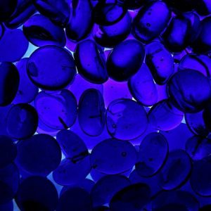 Το γαλάζιο αίμα υπάρχει και δεν είναι μόνο για… Βασιλιάδες