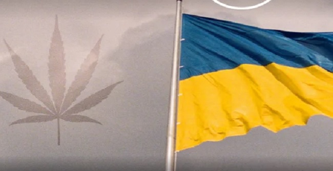 Ουκρανία: Λέει «ναι» στη μαριχουάνα λόγω της ρωσικής εισβολής
