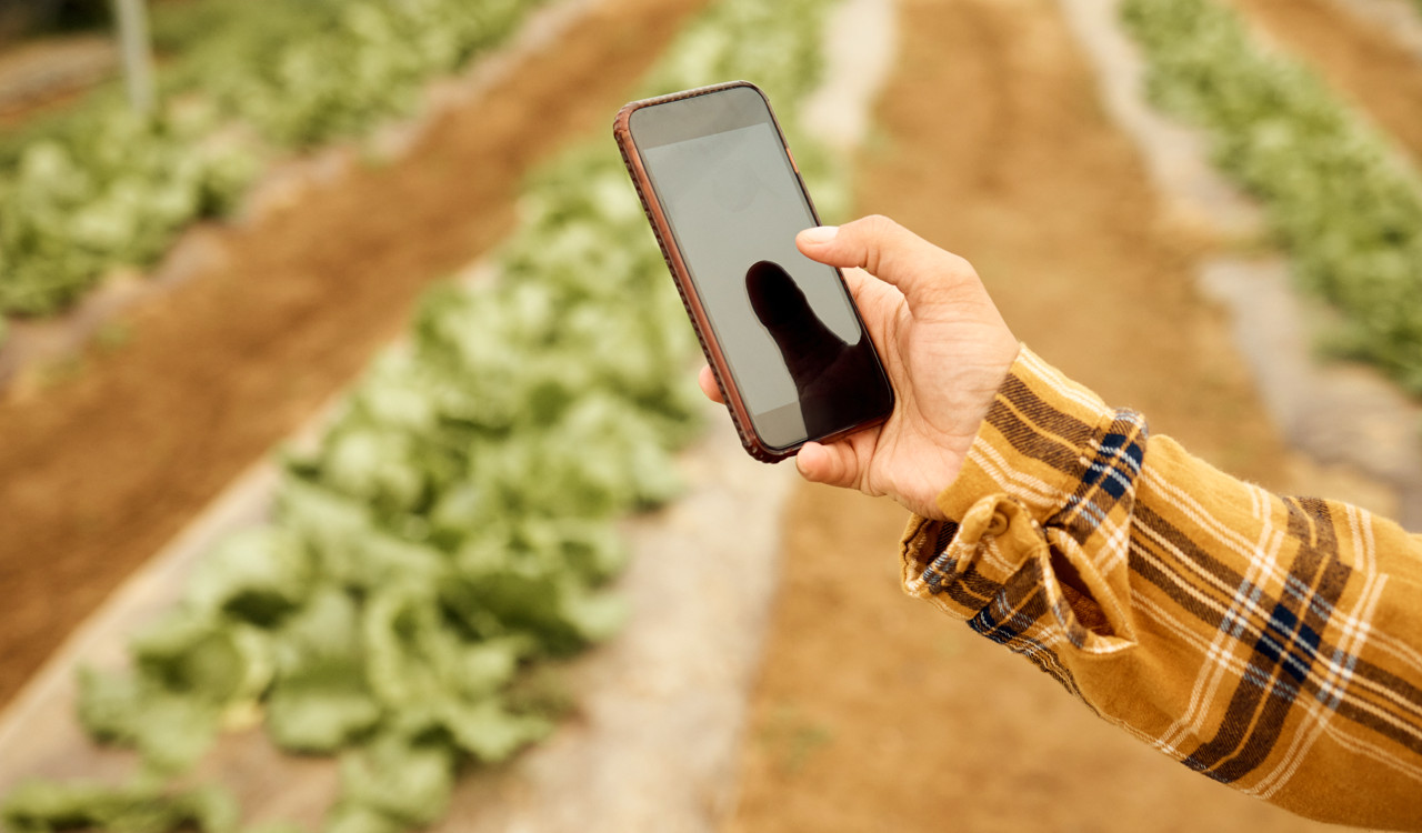 ΕΒΕΠ: Η μετεξέλιξη της αγροδιατροφής απαιτεί γενναία χρηματοδότηση νέων τεχνολογιών