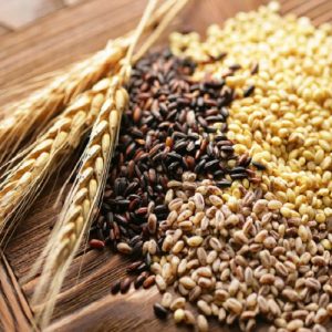 FAO: Νέα άνοδος στις παγκόσμιες τιμές τροφίμων τον Σεπτέμβριο