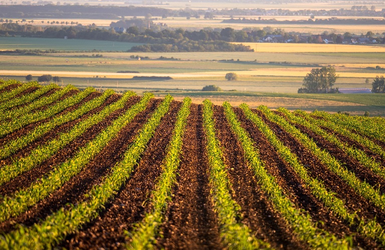 ΕΕ: Καταχώριση Ευρωπαϊκής Πρωτοβουλίας Πολιτών για την προάσπιση της γεωργίας