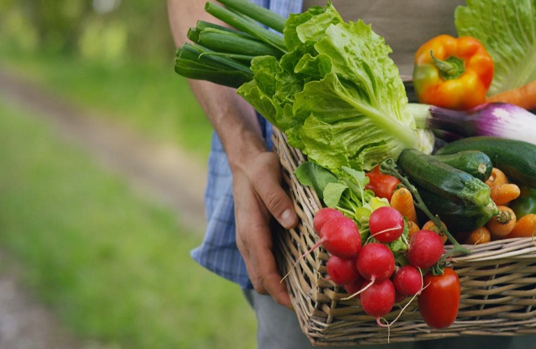 Αγροτικά προϊόντα: Τι έδειξε ο έλεγχος υπολειμμάτων φυτοφαρμάκων