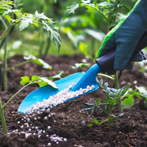 Copa-Cogeca: Άμεση δράση πριν το σχέδιο της ΕΕ για τα λιπάσματα