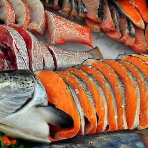 ΕΕ: Γιατί οι ιχθυοκαλλιεργητές άρχισαν να ταϊζουν τους σολομούς με κοτόπουλο