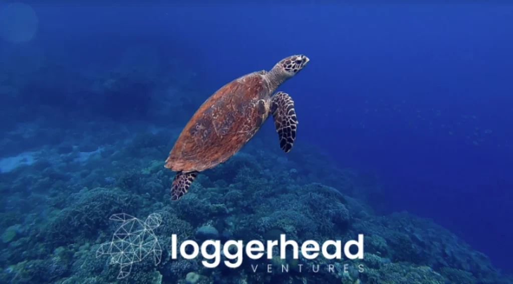 Loggerhead Ventures: Τονωτική ένεση σε startups με το βλέμμα σε κυκλική οικονομία, ενέργεια, AI