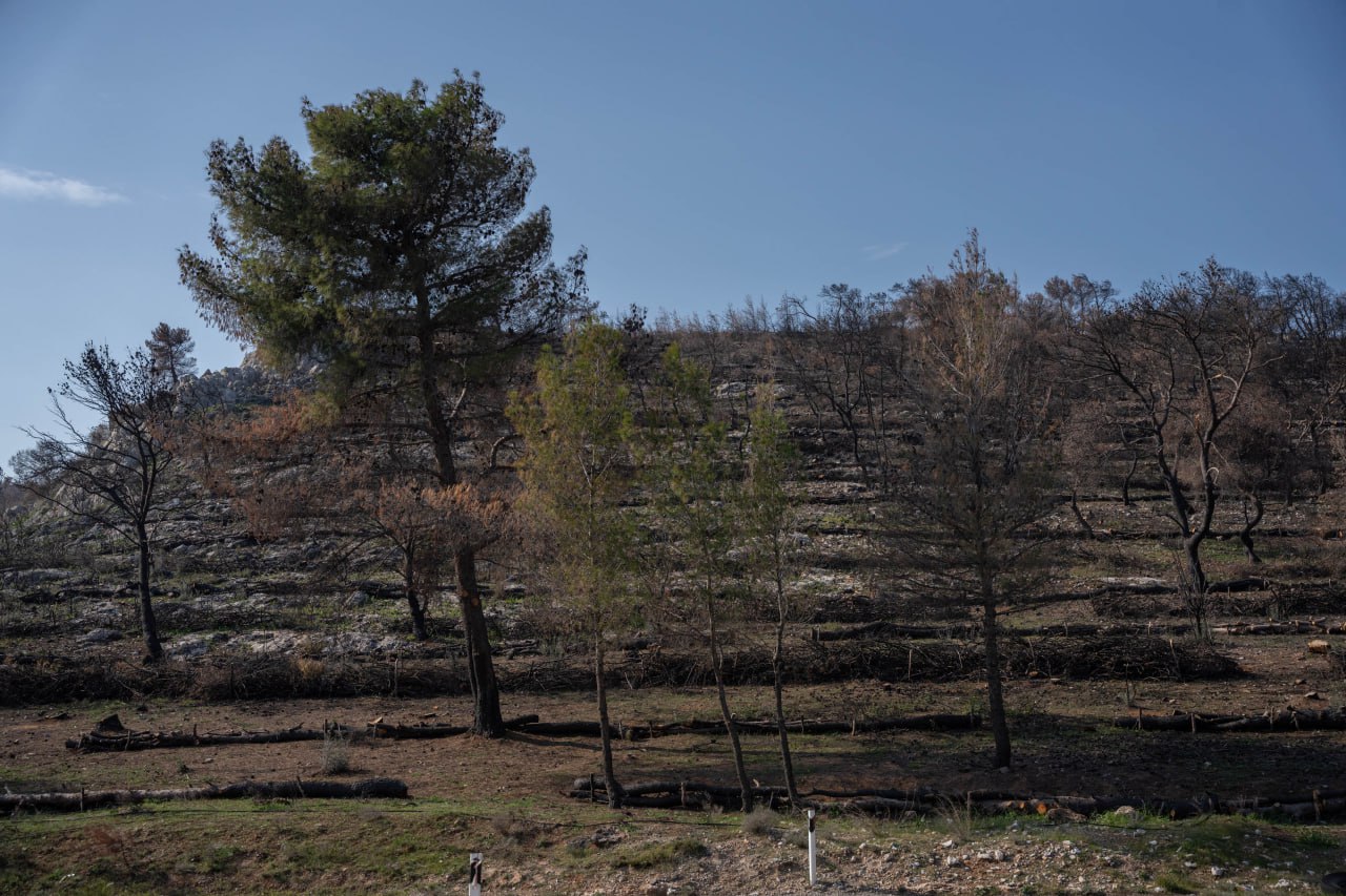 ΤΕΡΝΑ: Με χρηματοδότηση 1 εκατ. τα αντιδιαβρωτικά έργα στις καμμένες εκτάσεις της Μάνδρας