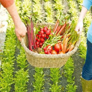 ΕΛΣΤΑΤ: Ανοδική η πορεία στο κόστος παραγωγής – Πτώση στις εκροές