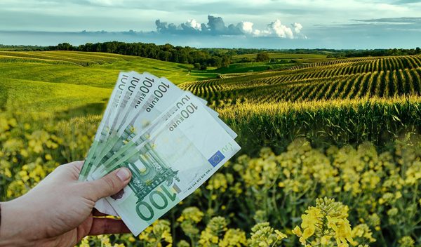 ΥΠΑΑΤ: Πρόγραμμα 135 εκατ. ευρώ για στήριξη της μεταποίησης αγροτικών προϊόντων