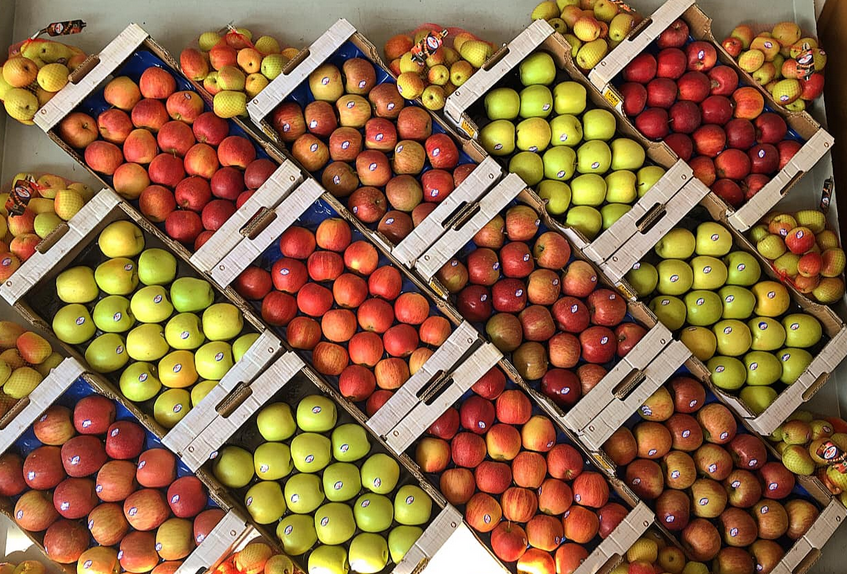 Μειωμένη 30% η παραγωγή των μήλων της Ζαγοράς – Στο προσκήνιο νέες ποικιλίες