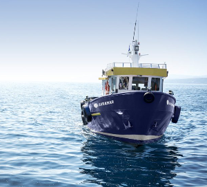 Avramar: Η εγγυητική των 23 εκατ. ευρώ, το «κούρεμα» 45% και ο έλεγχος της Aqua Bridge