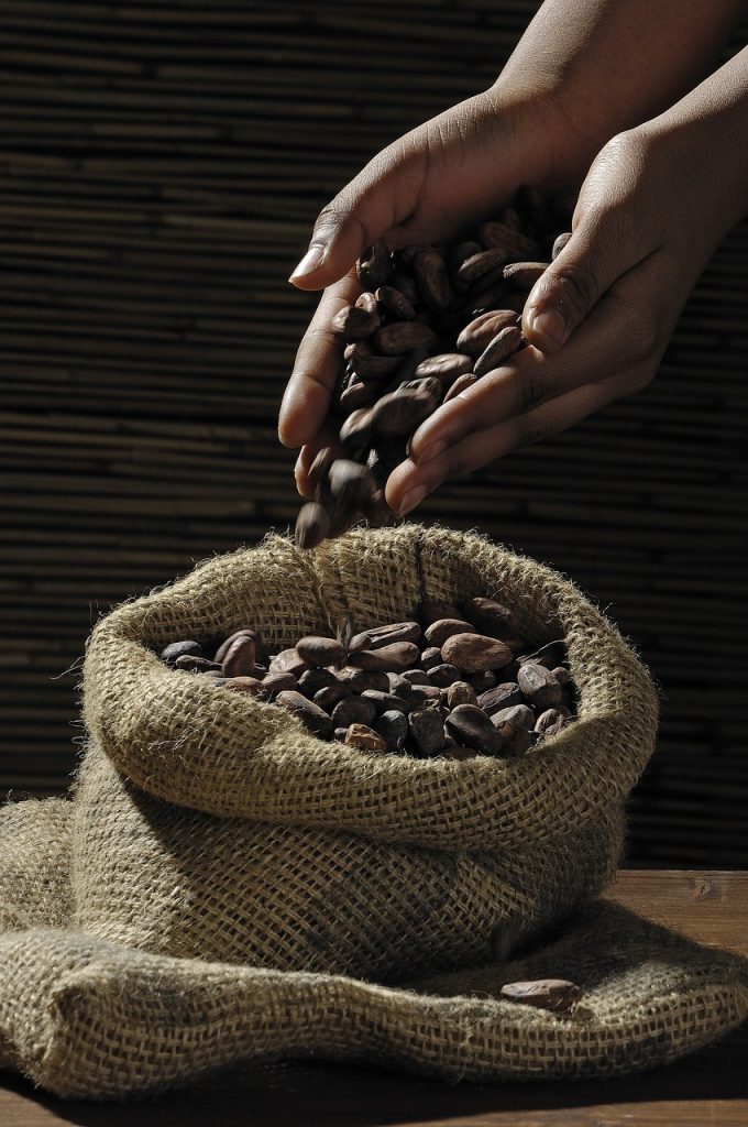 cocoa beans 499970 1280