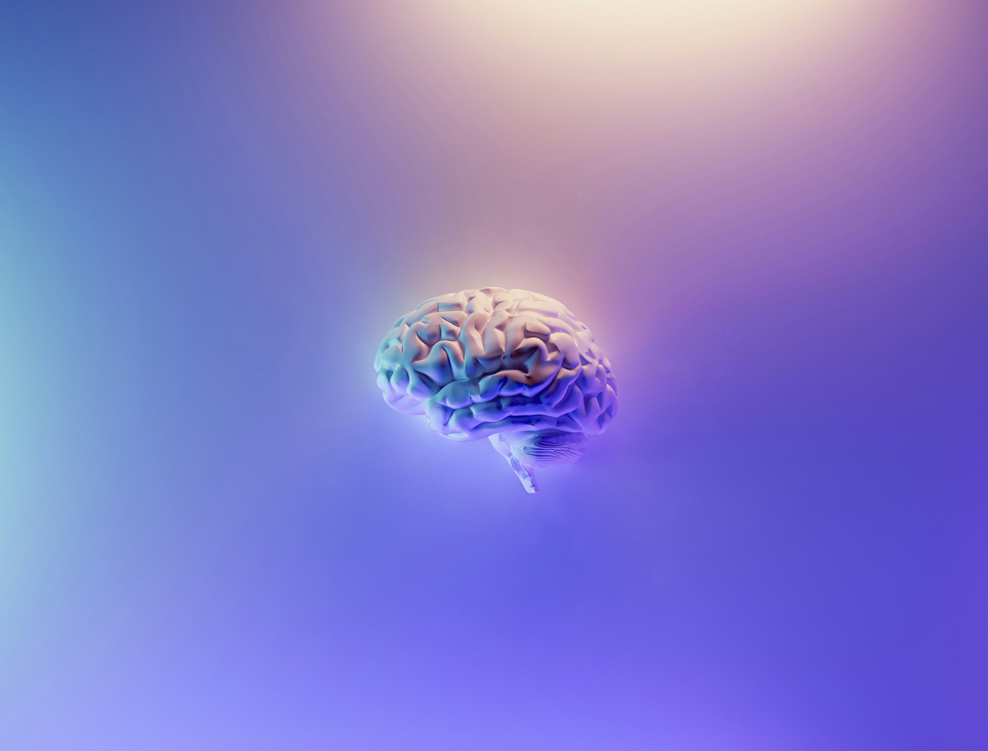 Gen Z: Έχει τον μεγαλύτερο εγκέφαλο του αιώνα – Δεν ισχύει όμως το ίδιο για το IQ της