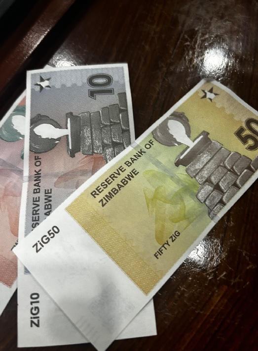 Ζιμπάμπουε: Η χώρα άλλαξε νόμισμα και ελπίζει να ρίξει τον πληθωρισμό