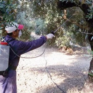 ΑΑΔΕ: Διευκρινίσεις για την εισφορά δακοκτονίας – Ποιοι απαλλάσσονται