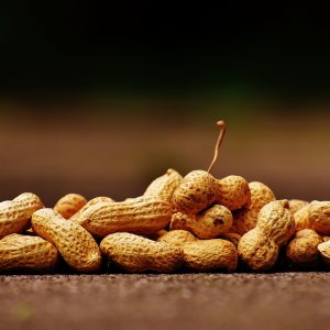 ΗΠΑ: Κερδισμένοι από τον πόλεμο στο Ιράν οι καλλιεργητές φιστικιών της Καλιφόρνιας