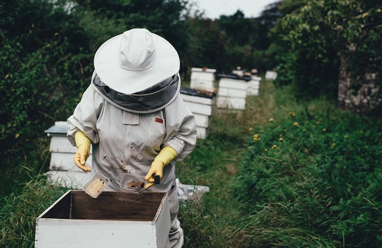 Μελισσοκομία: «Τρέχουν» οι προθεσμίες για το μελισσοκομικό πρόγραμμα 2024