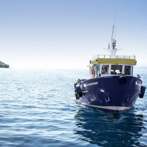 Avramar: Νέα εποχή με την Aqua Bridge – Το σχέδιο διάσωσης και η μεγάλη αναδιάρθρωση