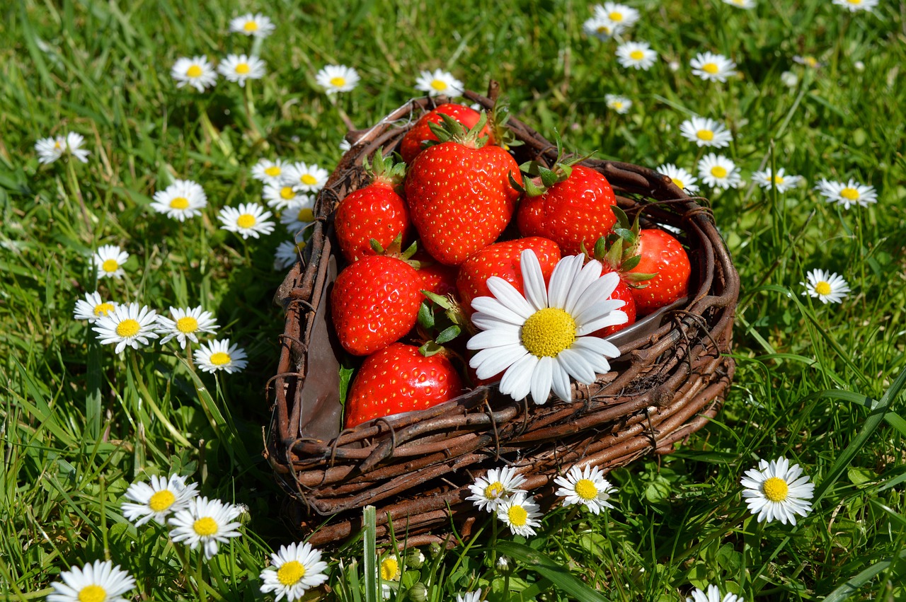 strawberries fraoula.2