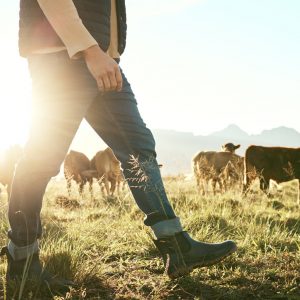 ΕΘΕΑΣ: Να αναθεωρηθεί η ηλεκτρονική εκπαίδευση για τη λήψη συνδεδεμένης ενίσχυσης