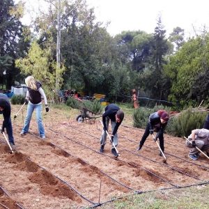 ΕΛΓΟ – ΔΗΜΗΤΡΑ: Από 13 Ιουλίου οι εγγραφές στις Δημόσιες ΣΑΕΚ