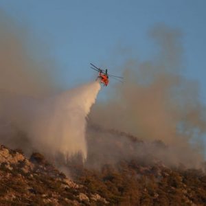 Πυρκαγιές: «Η αντιπυρική περίοδος μεγαλώνει», προειδοποιεί ο Λαγουβάρδος