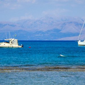 New Mobile App Lets Citizens Join the Fight Against Marine Pollution