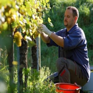 ΚΕΟΣΟΕ: Αναγκαία και επείγουσα η λήψη μέτρων για τον αγροτικό τομέα