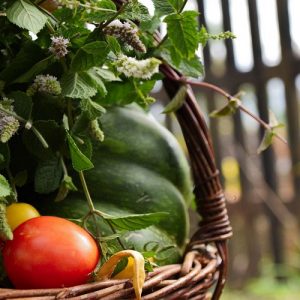 FAO: Επενδυτικές προτάσεις 20,16 δισ. δολαρίων στον αγροδιατροφικό τομέα