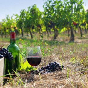 Κρασί: Πώς οι Βρυξέλλες αντιμετωπίζουν την κρίση – Το νέο «πακέτο» μέτρων